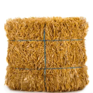 Dry Fodder